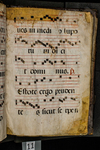 Antiphonary (seq. 011) by Catholic Church