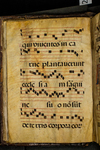 Antiphonary (seq. 024) by Catholic Church