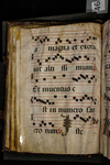 Antiphonary (seq. 046) by Catholic Church