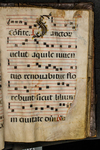 Antiphonary (seq. 093) by Catholic Church
