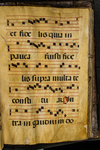 Antiphonary (seq. 105) by Catholic Church