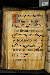 Antiphonary (seq. 116) by Catholic Church