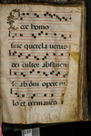 Antiphonary (seq. 133) by Catholic Church