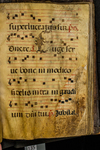 Antiphonary (seq. 135) by Catholic Church