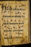 Antiphonary (seq. 153) by Catholic Church