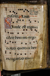 Antiphonary (seq. 155) by Catholic Church