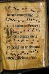 Antiphonary (seq. 165) by Catholic Church
