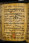 Antiphonary (seq. 204) by Catholic Church