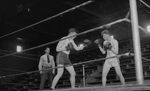 Boxers fighting in ring