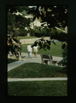 Individuals Walking on Academic Mall by Gregory Rust