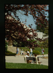 Students around Bellarmine Chapel Stairs by Gregory Rust