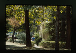Students on Academic Mall by Gregory Rust