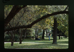Two Students Conversing on the Grass by Gregory Rust