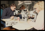 Students Using Microscopes by Gregory Rust