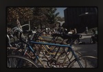 Bicycles on the Academic Mall by Xavier University (Cincinnati, Ohio)